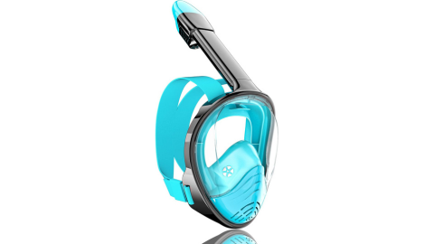 Full Face Snorkel Mask
